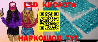 СК Рыбинск