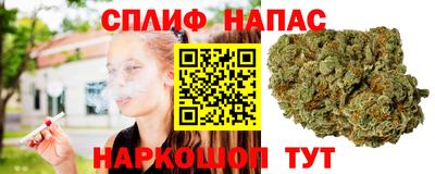 стаф Рязань