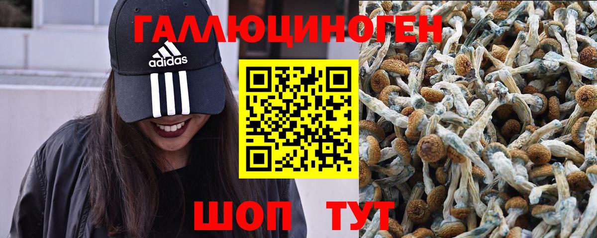 Галлюциногенные грибы ЛСД Пугачёв