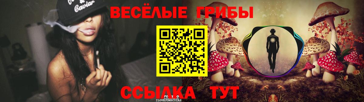 Галлюциногенные грибы MAGIC MUSHROOMS  Вход с VPN  Пугачёв 